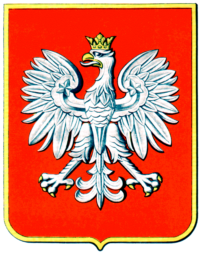 Kompletní vypracování překladů z/do polštiny