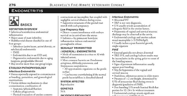 Překlady z oblasti veterinárních překladů